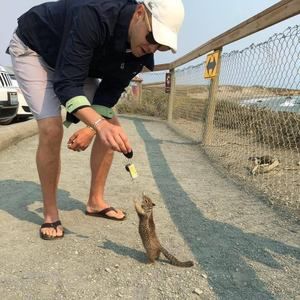 Meet your Posher, Cody